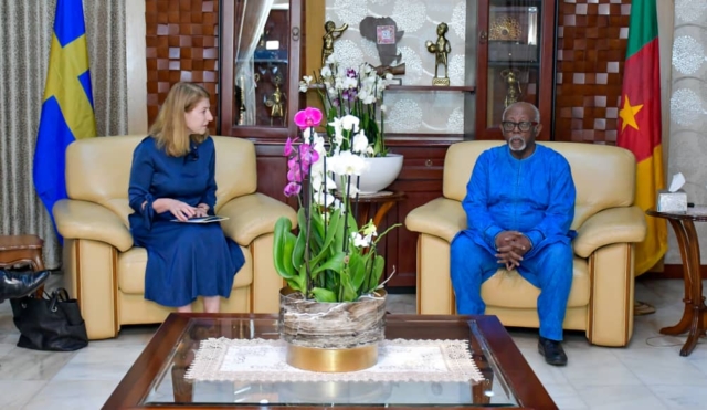 ambacam_suede_accueil