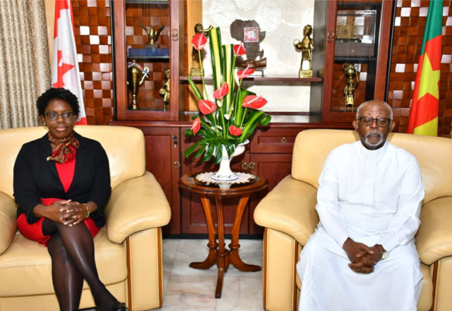 copiefigureCanadalight