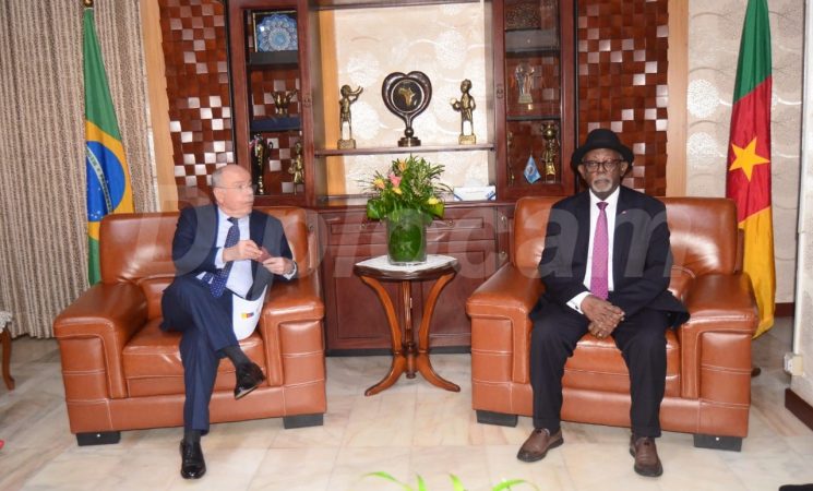 Coopération Cameroun - Brésil