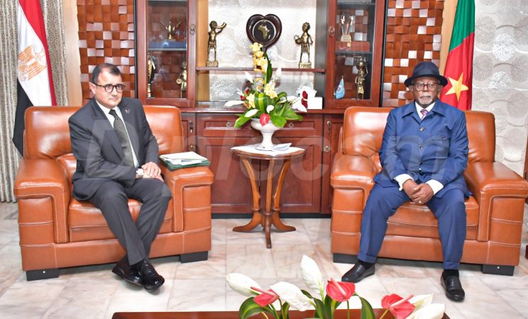 COOPERATION CAMEROUN – EGYPTE