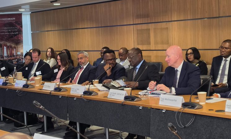 RISK AND RESILIENCE: CAMEROON’S PERSPECTIVE